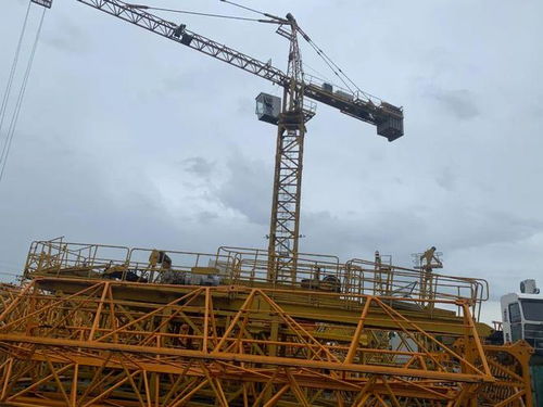 金山有序開展租金減免,為企業減負護航