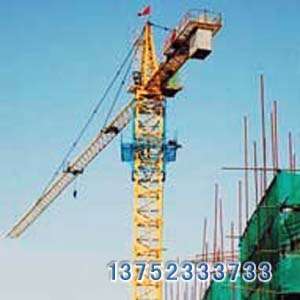 天津塔機(jī)租賃設(shè)備圖片精選與細(xì)節(jié)解析