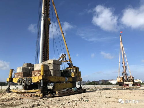 溫嶺創新工業用地“先租后讓”模式獲全省推廣，助力企業高效發展